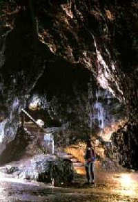 Jaskinia Łokietka - najsłynniejsza z jurajskich jaskiń