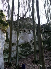 Fragment murw zamku od pn- zach., fot. D. Orman
