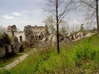 Basteja grunwaldzka i fragment sieni, fot. Z. Bereszyski